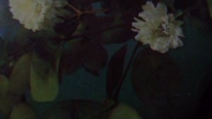 Эх, путь-дорожка фронтовая,не страшна нам бомбежка любая -Песенка фронтового шофёра(наброски)