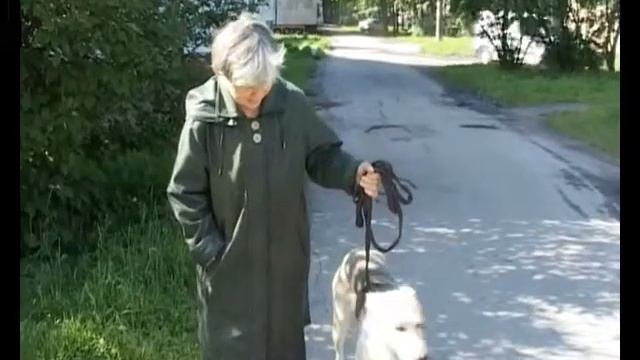 Пожар авто Рендж Ровер Шелгунова 16 смотреть онлайн