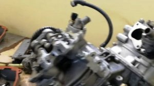 Stels росомаха 800  odes v800 двигатель