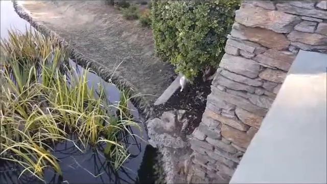 РАССКАЗ МИНИАТЮРА КОМБИНАЦИЯ Published Oct 1 2019 смотреть онлайн