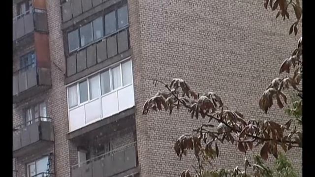 С первым снегом господа! 4 октября 2013 года Алчевск смотреть онлайн