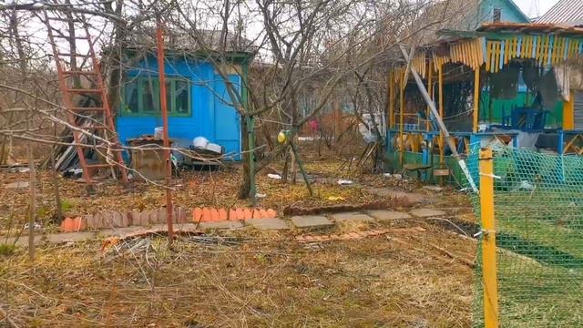 КОТ ПРИЕХАЛ НА ДАЧУ. THE CAT ARRIVED AT THE DACHA