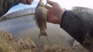 Рыбалка в краснодарском крае! Карп, сазан, карась на что клюёт !!!  "Клевое место" Выезд-1