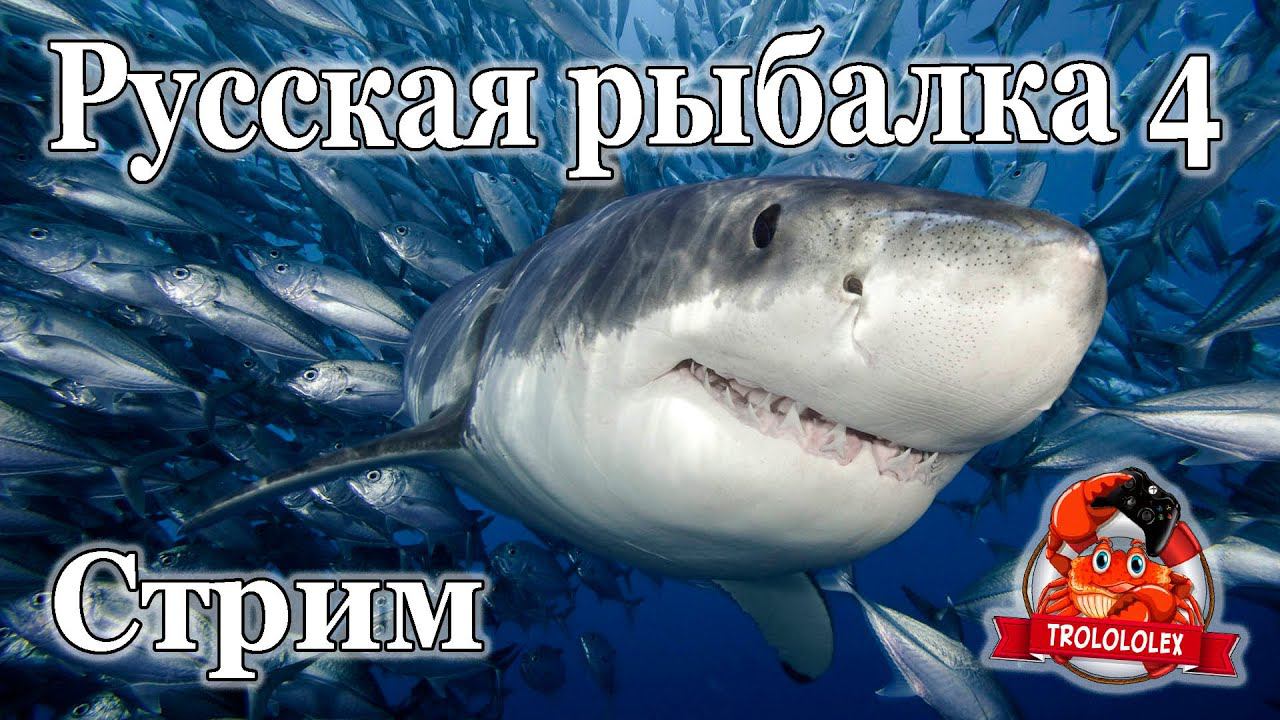 Русская рыбалка 4.Норвежское море стрим смотреть онлайн