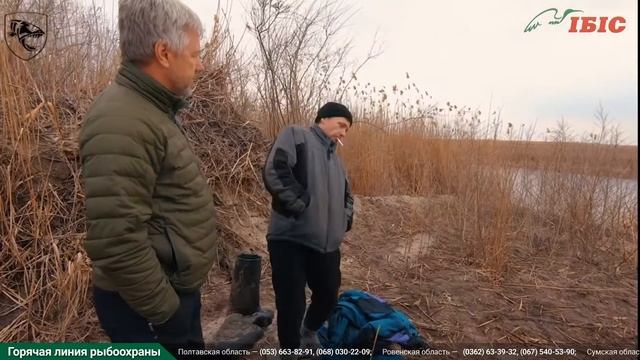 Рыбы в Объективе