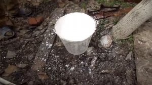 Готовим известку для побелки деревьев