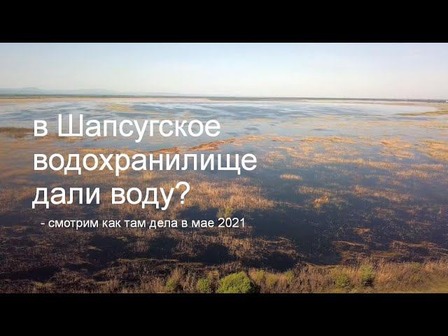 в Шапсугское водохранилище , вернее то, что на его месте сейчас - неужели дали воду? смотреть онлайн
