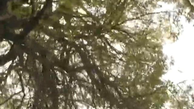 Лопасня (река в Чехове) смотреть онлайн