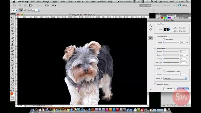 How to Remove Background using Refine Edge (Photoshop) смотреть онлайн