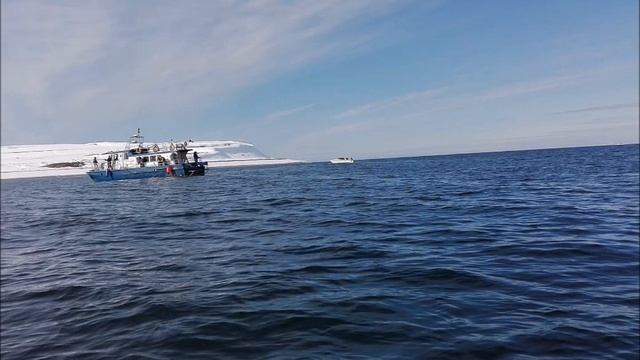 Морская рыбалка в Баренцевом море! смотреть онлайн