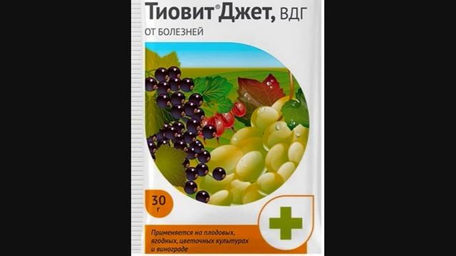 ПАУТИННЫЙ КЛЕЩ, МУЧНИСТАЯ РОСА, ПЕРОНОСПОРОЗ ОГУРЦА. ЛУЧШИЙ ПРЕПАРАТ... смотреть онлайн