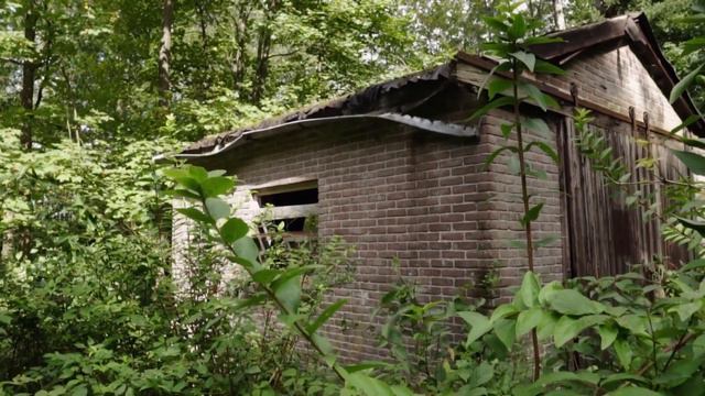 Необычайно Красивая Мелодия! Нежная, Трогательная Элегия Души! Послушайте! 🎶