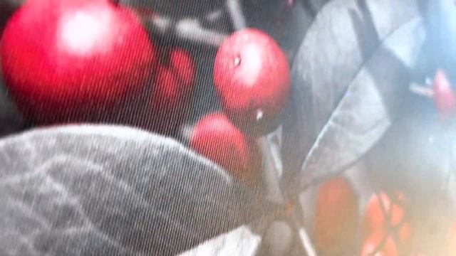 Печатаем на холсте. Натягиваем на подрамник. Покрываем холст лаком. смотреть онлайн