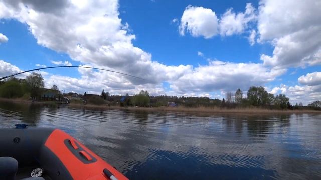 Сколько щуки в этом болоте? смотреть онлайн