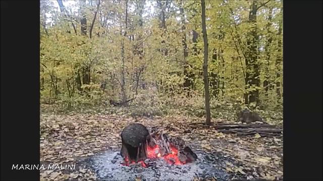 ПУТЬ. МИССИЯ. ДЕНИС МИРОТВОРЕЦ на канале МАЛИНИ. смотреть онлайн