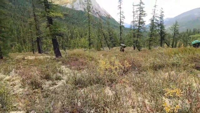 Глобальный поход по Восточному Саяну - самые дикие места Бурятии, Тувы и Тофаларии. смотреть онлайн