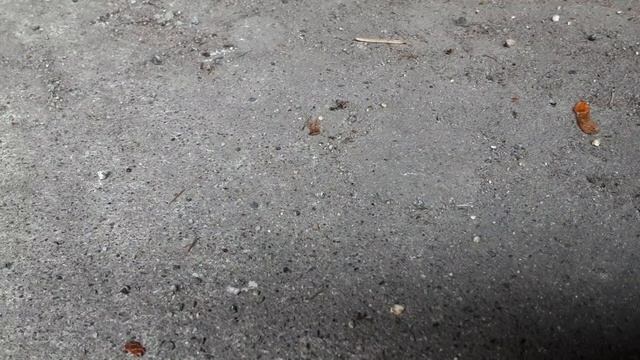 start up on my 2021 Nissan Versa SV rental! смотреть онлайн