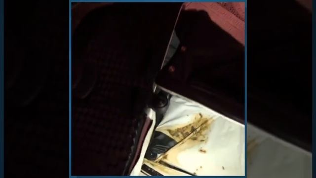 Химчистка детской коляски смотреть онлайн