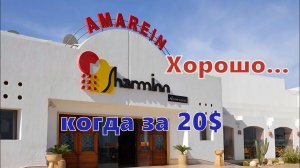 Неожиданный Египет. SHARM INN AMAREIN 4*. Ночевка за 20$. Что понравилось? Таксисты-артисты