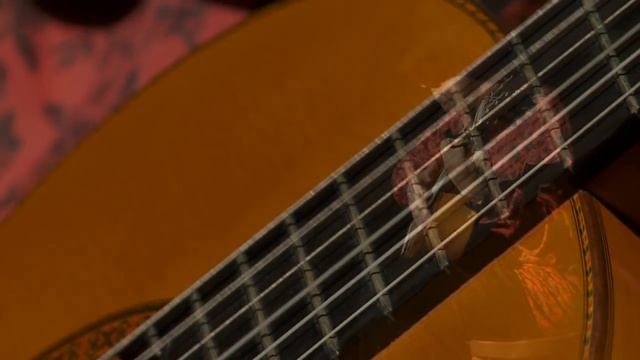 Fastest Flamenco Guitar
