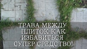ТРАВА НА ДОРОЖКАХ МЕЖДУ ПЛИТОК - СУПЕР СРЕДСТВО! Как избавиться от травы на дорожках навсегда?