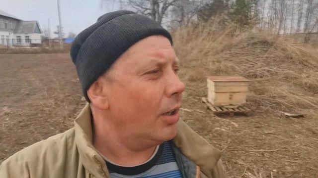 Как завести пчел с нуля?! Где взять пчел?! "Мое Подворье" смотреть онлайн