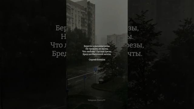 Что любовь? Пустые грeзы | Сергей Есенин #стихи #поэзия смотреть онлайн