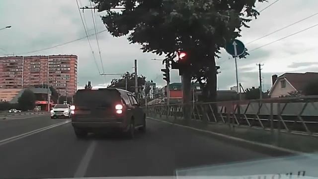 Краснодарский-племенной бык смотреть онлайн