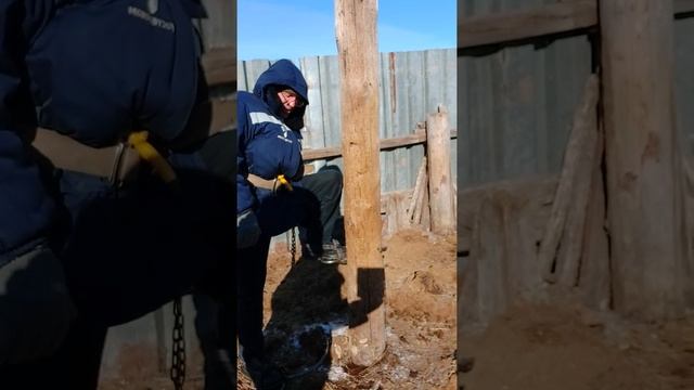 как купить когти для связиста, электрика по дереву, бетону ? смотреть онлайн