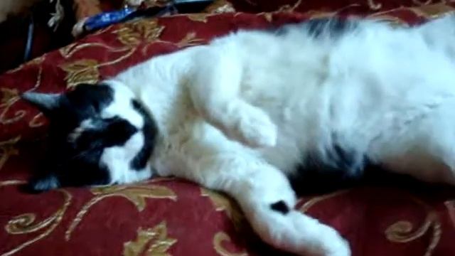счастливый Кузьма смотреть онлайн
