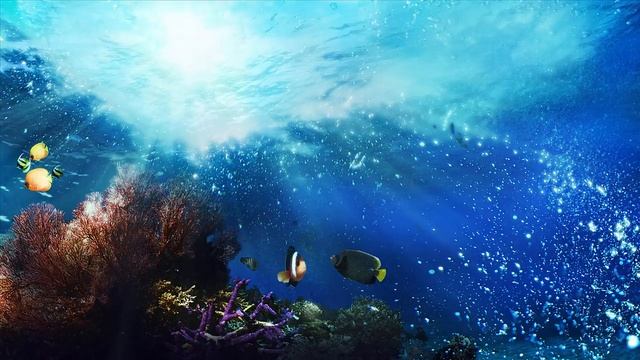 Музыка для снятия стресса и тревоги смотреть онлайн