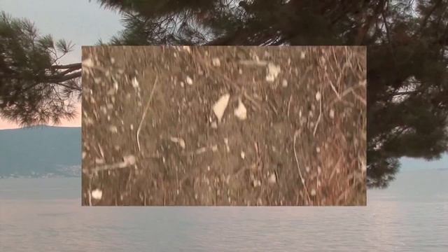 henrietta sol - июль (видео) смотреть онлайн