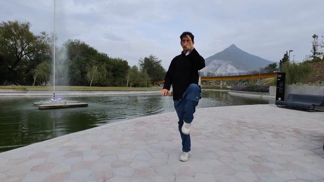Forma 10 - Movimiento 6 - El Gallo Dorado se para sobre una pata смотреть онлайн