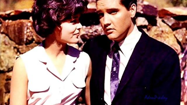 Elvis Presley - Suspicion (spliced take) [rWbTMh4TKV8].mp4 смотреть онлайн