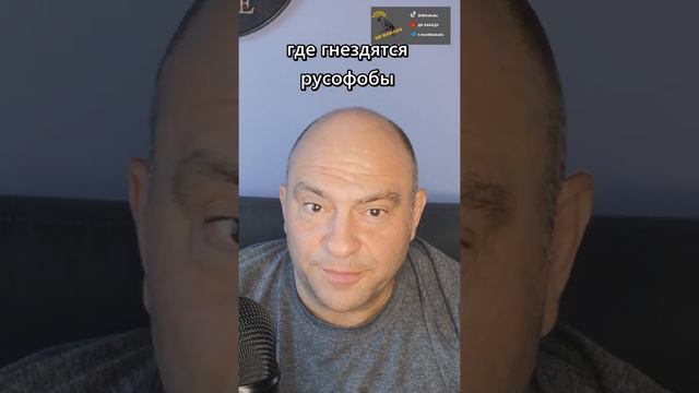 где искать врагов россии #дккакаду смотреть онлайн