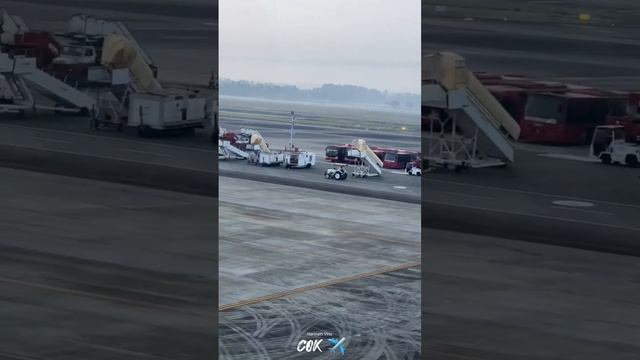 Kochi Airport ✈️? #cochininternationalairport #cok #flight #flights #kochiairport #kochishorts смотреть онлайн