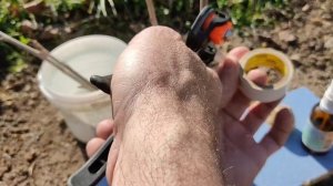 Как делать прививку.Прививочным секатором ранней весной.