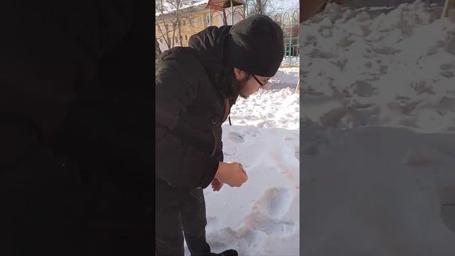 Бутерброды со снегом во дворе возле снега смотреть онлайн