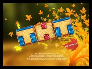 Свидетельство о регистрации - ТНТ-Шадринск (2012)