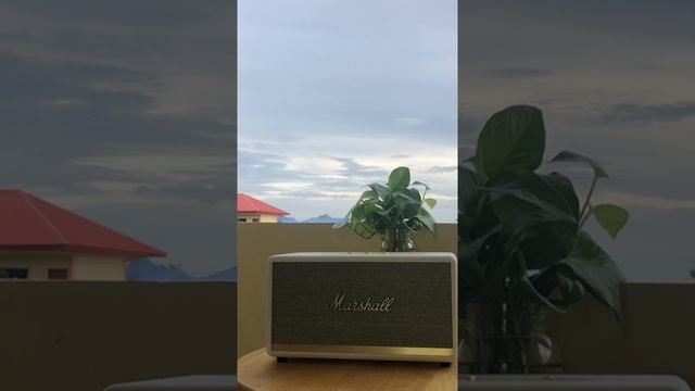 Marshall stanmore ii sound test смотреть онлайн