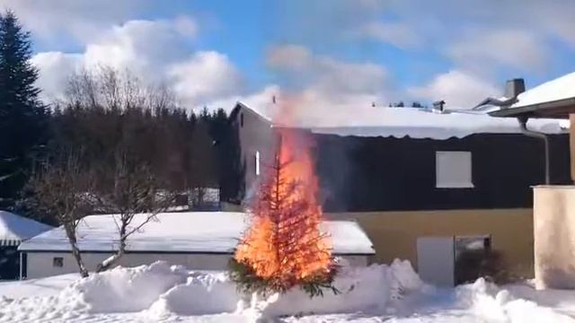 Weihnachtsbaum brennt!! смотреть онлайн