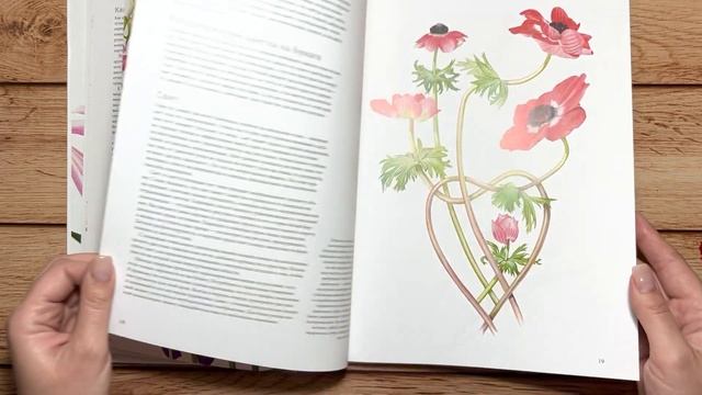 Мои книги по ботанической иллюстрации. Часть 1 | My botanical illustration books collection part 1 смотреть онлайн