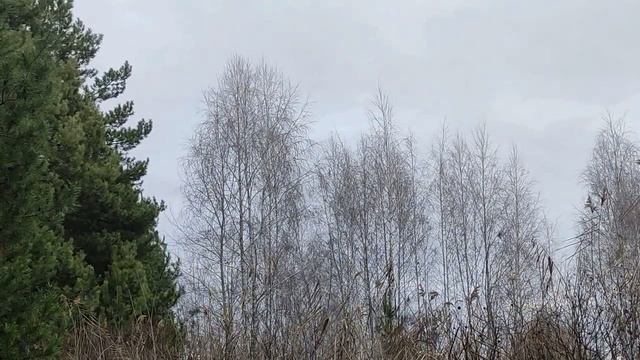 Стрижка ногтей в эти дни декабря привлекут болезни и неприятности. смотреть онлайн