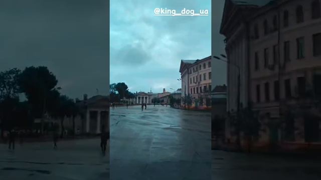 Кане-Корсо смотреть онлайн
