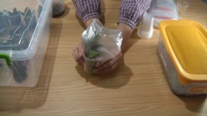 Тепличка для фиалок