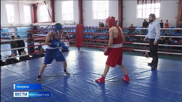Завершилось Первенство республики по боксу среди юниоров смотреть онлайн