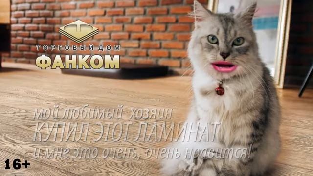 Ламинат в ТД Фанком смотреть онлайн