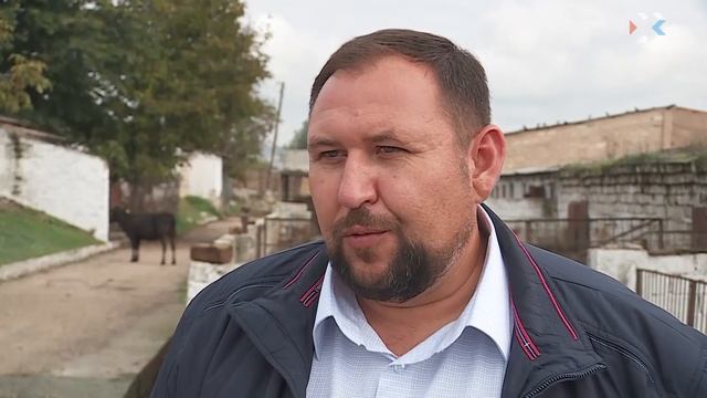 В Севастополе вакцинируют от классической чумы свиней смотреть онлайн