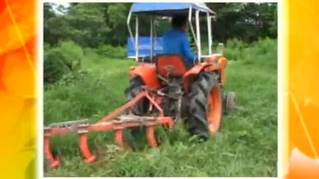 Jatropha Curcas: New Alternative Energy (by Department of Agricultural Extension) смотреть онлайн