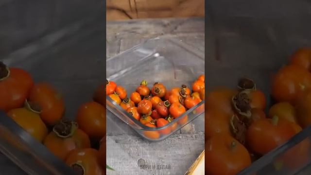 Лучшие советы для качественного ухода за растениями смотреть онлайн